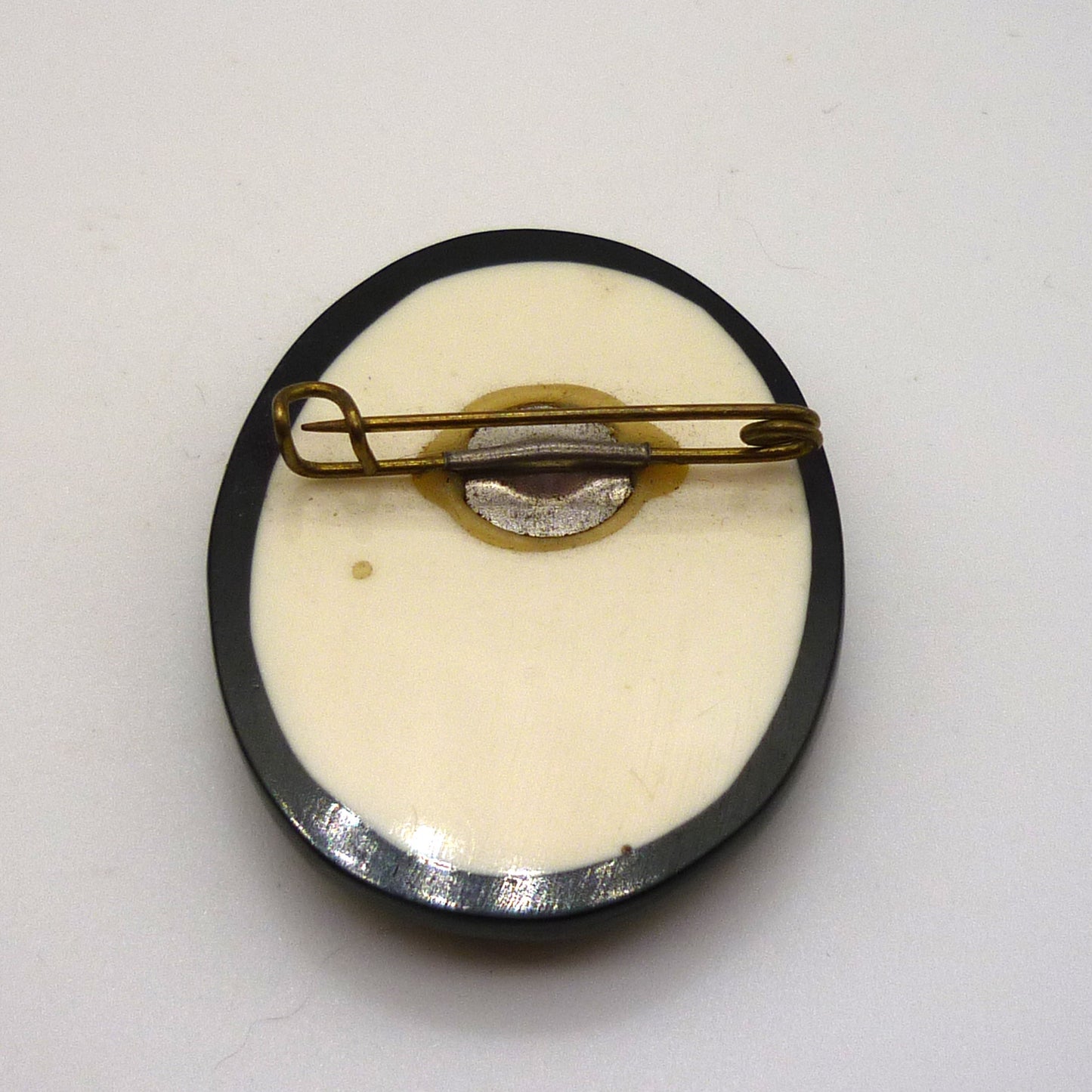 Vintage Pressed Flower Brooch