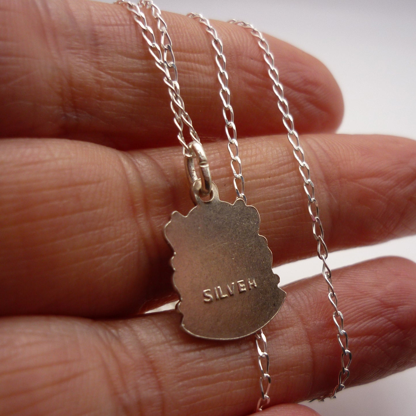 Port Erin  Shield Charm Necklace