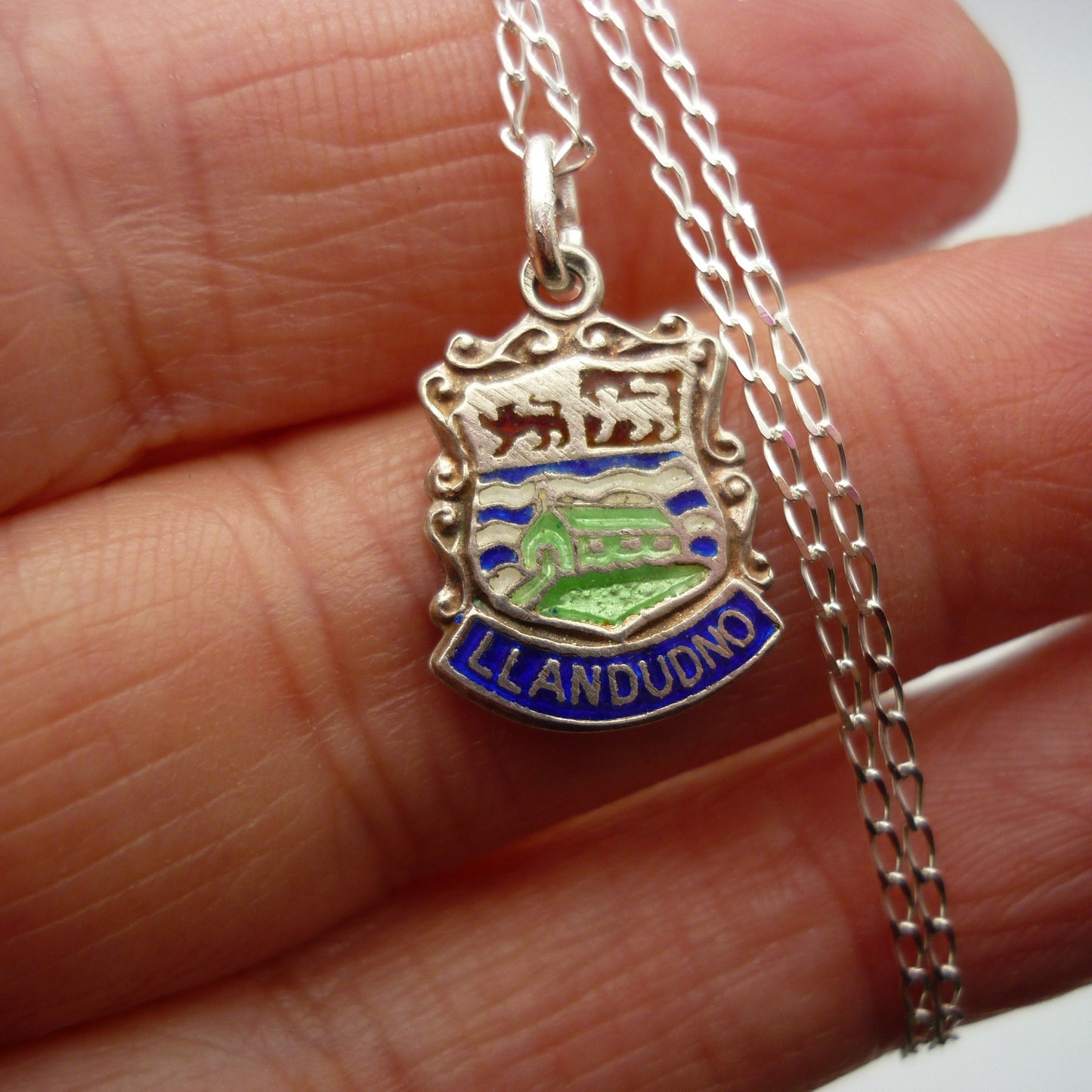 Llandudno Shield Charm Necklace