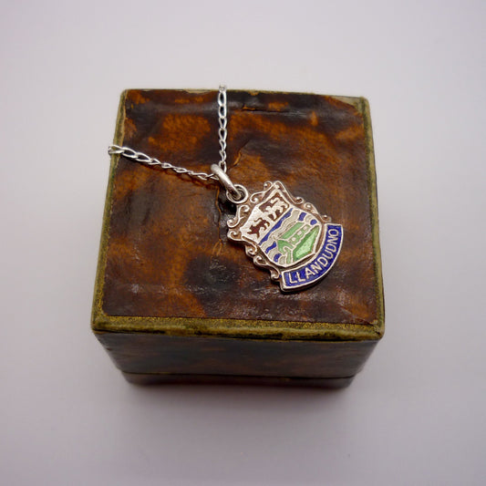 Llandudno Shield Charm Necklace