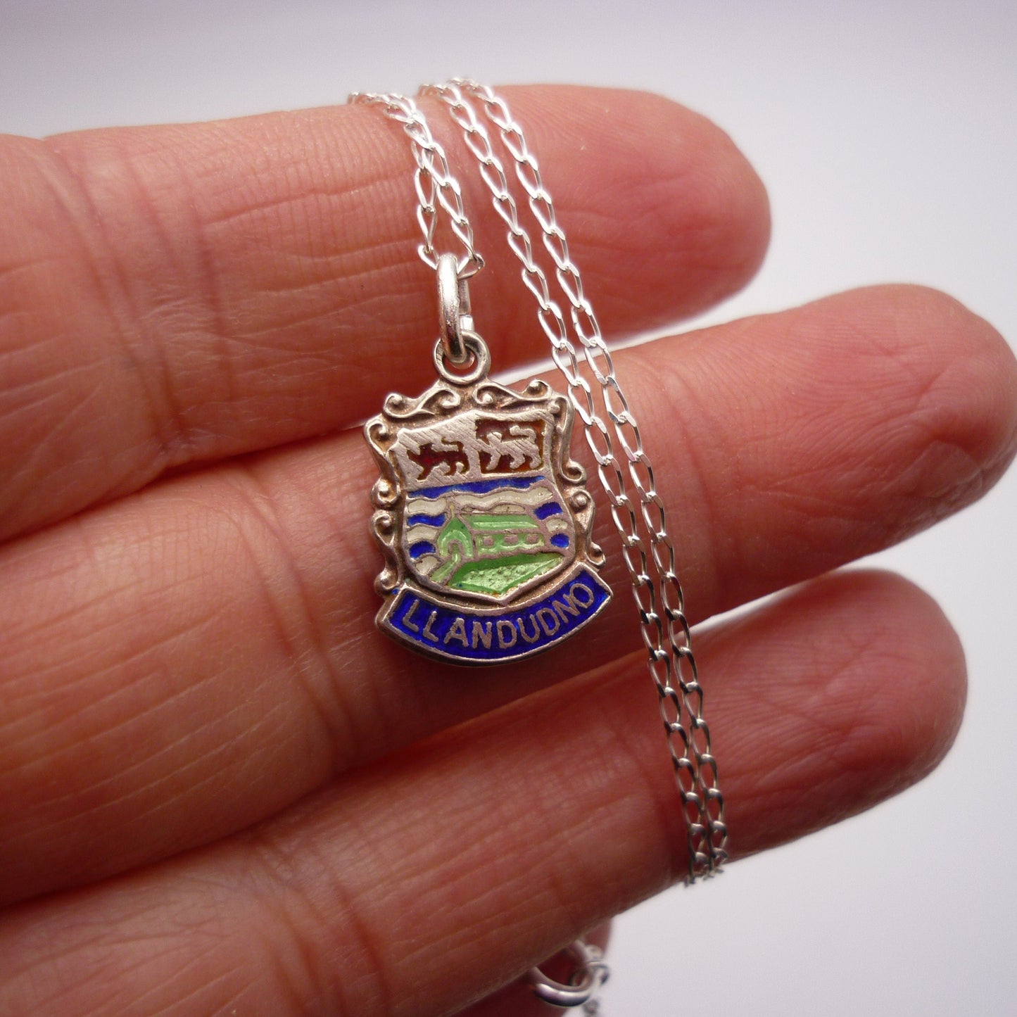 Llandudno Shield Charm Necklace