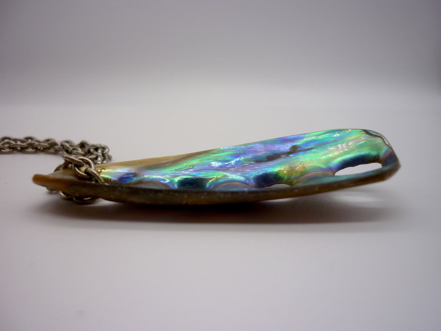 Shell Pendant Necklace on Long Silver Tone Chain