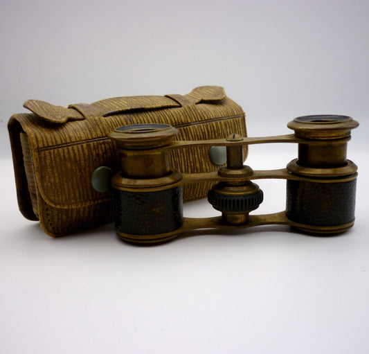 French Edwardian Opera Glasses in Antique Leather Case
