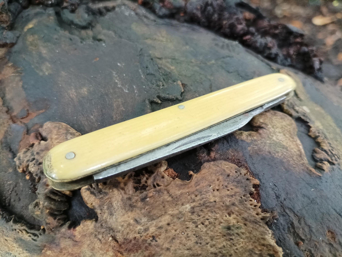 Victorian Sheffield Steel Folding Knife: Small Pocketknife Tool