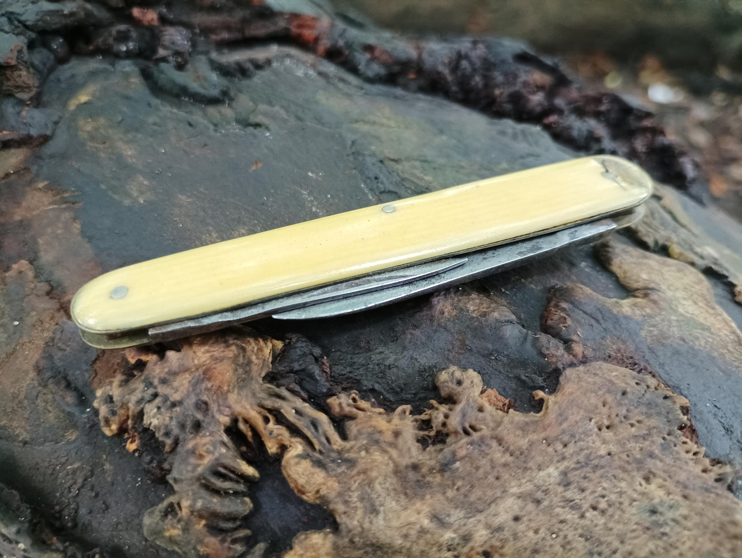 Victorian Sheffield Steel Folding Knife: Small Pocketknife Tool