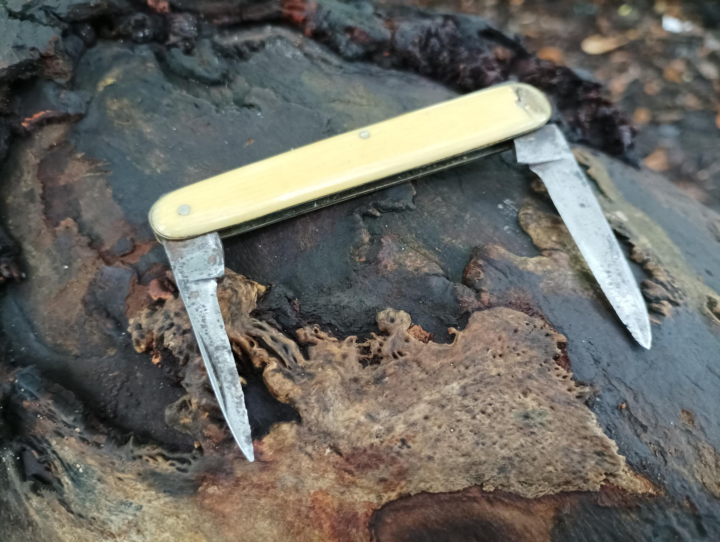 Victorian Sheffield Steel Folding Knife: Small Pocketknife Tool