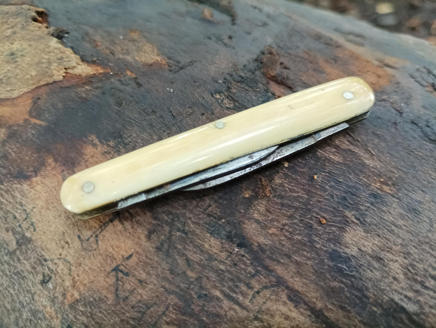 Victorian Sheffield Steel Penknife: Antique Folding Pocket Tool