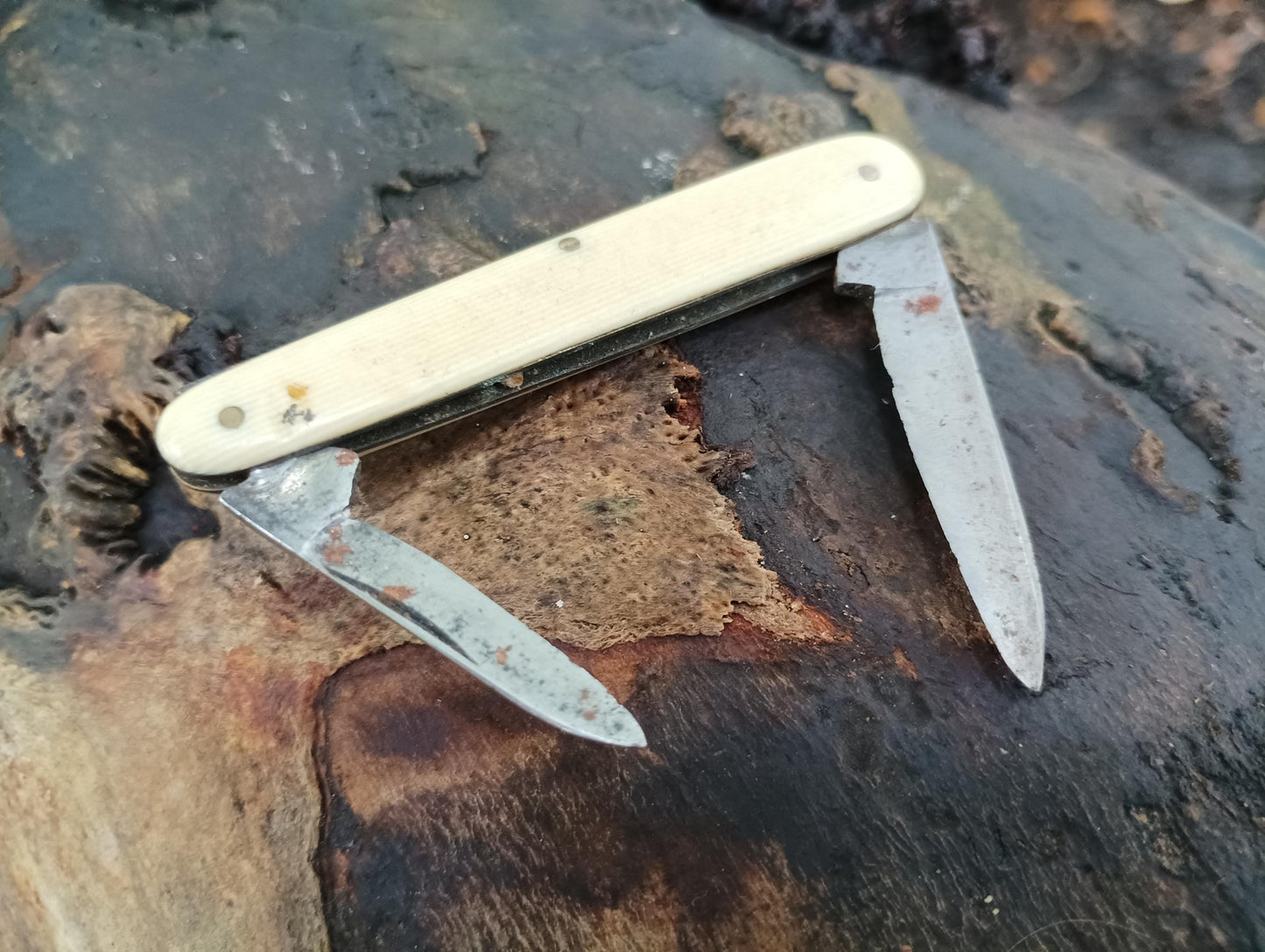 Victorian Sheffield Steel Folding Knife: Slim Pocketknife Tool