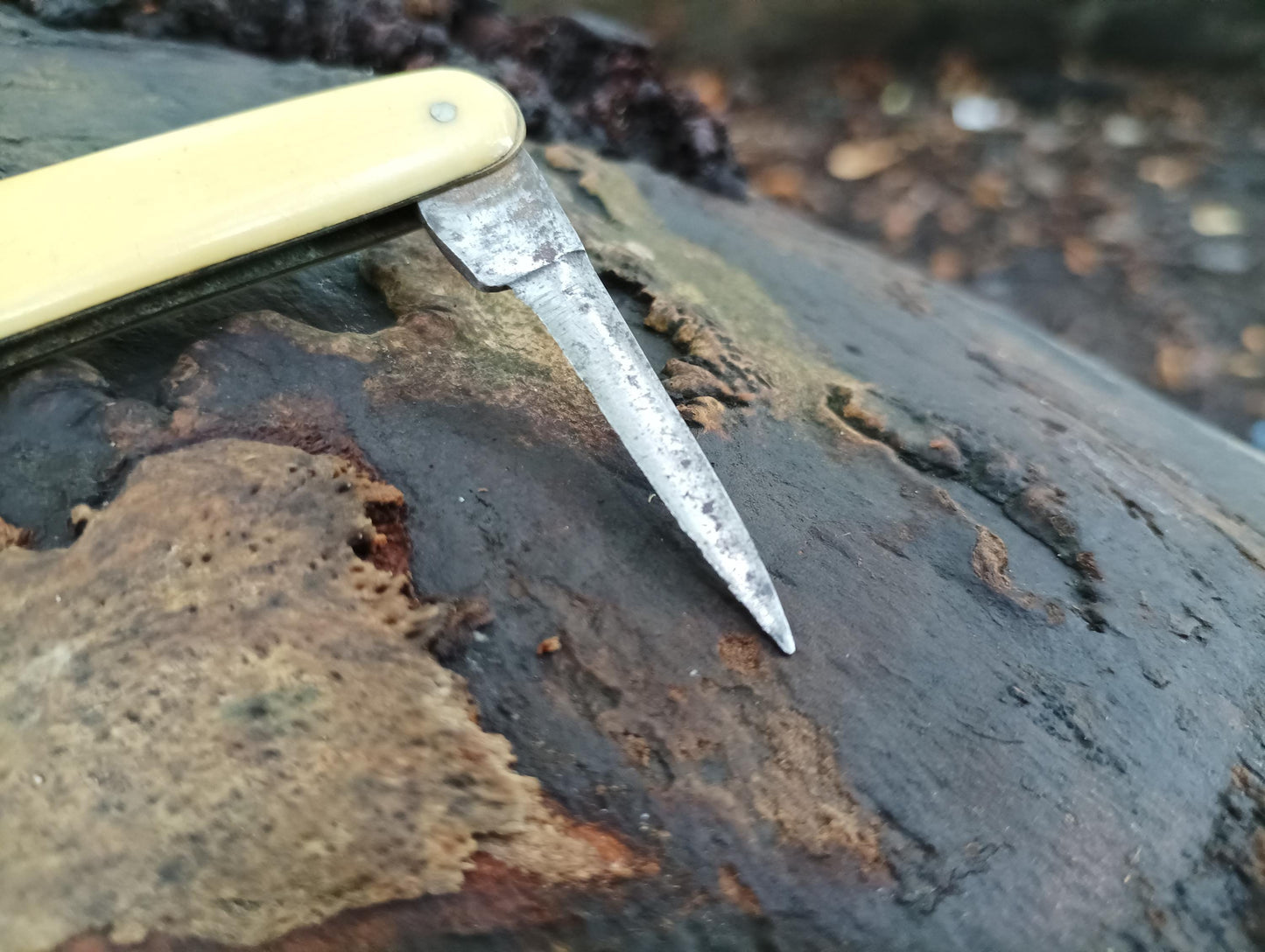 Victorian Sheffield Steel Folding Knife: Small Pocketknife Tool