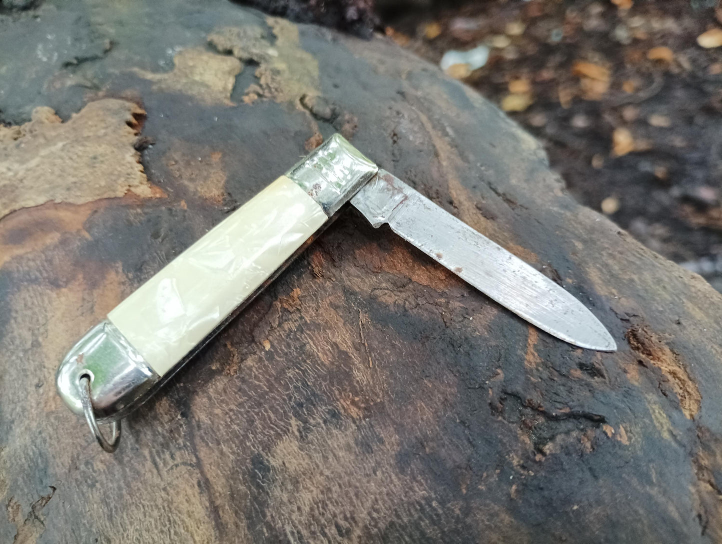 1930s Irish Penknife: Vintage Mother of Pearl Folding Fruit Knife