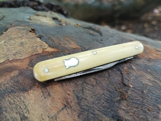 Victorian Sheffield Steel Penknife: Antique Folding Pocket Tool