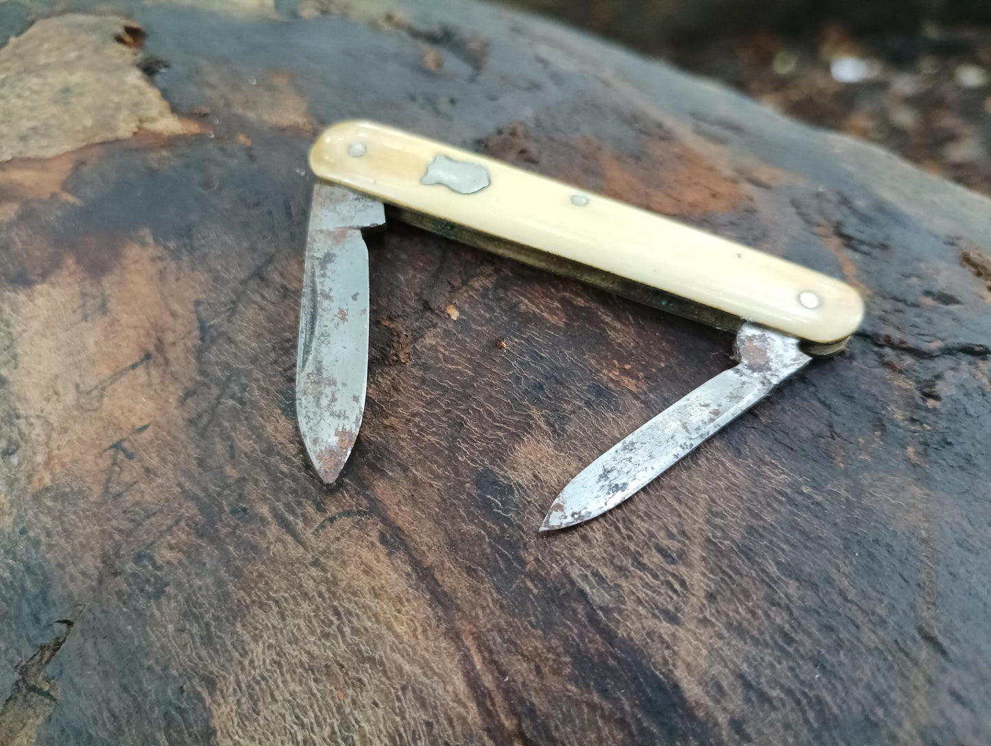 Victorian Sheffield Steel Penknife: Antique Folding Pocket Tool