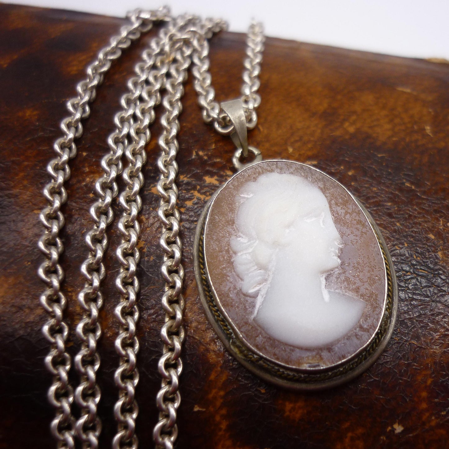 Cameo Necklace, Vintage Shell Cameo Pendant on Chain