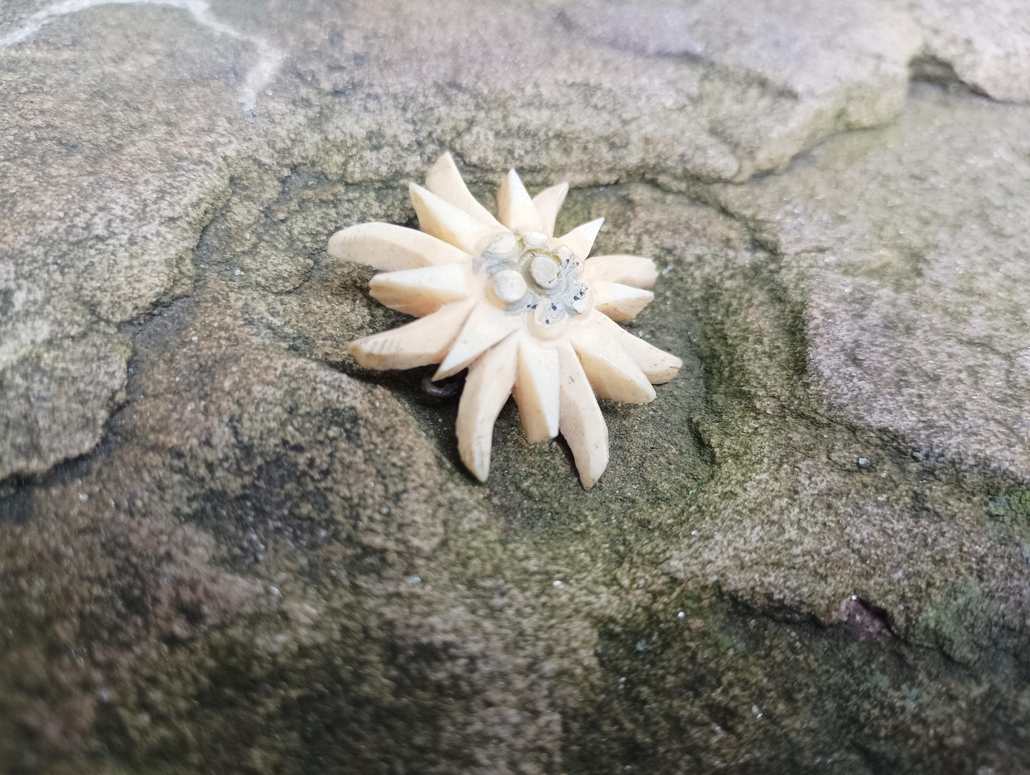 1930s Vintage Carved Bone Edelweiss Flower Brooch