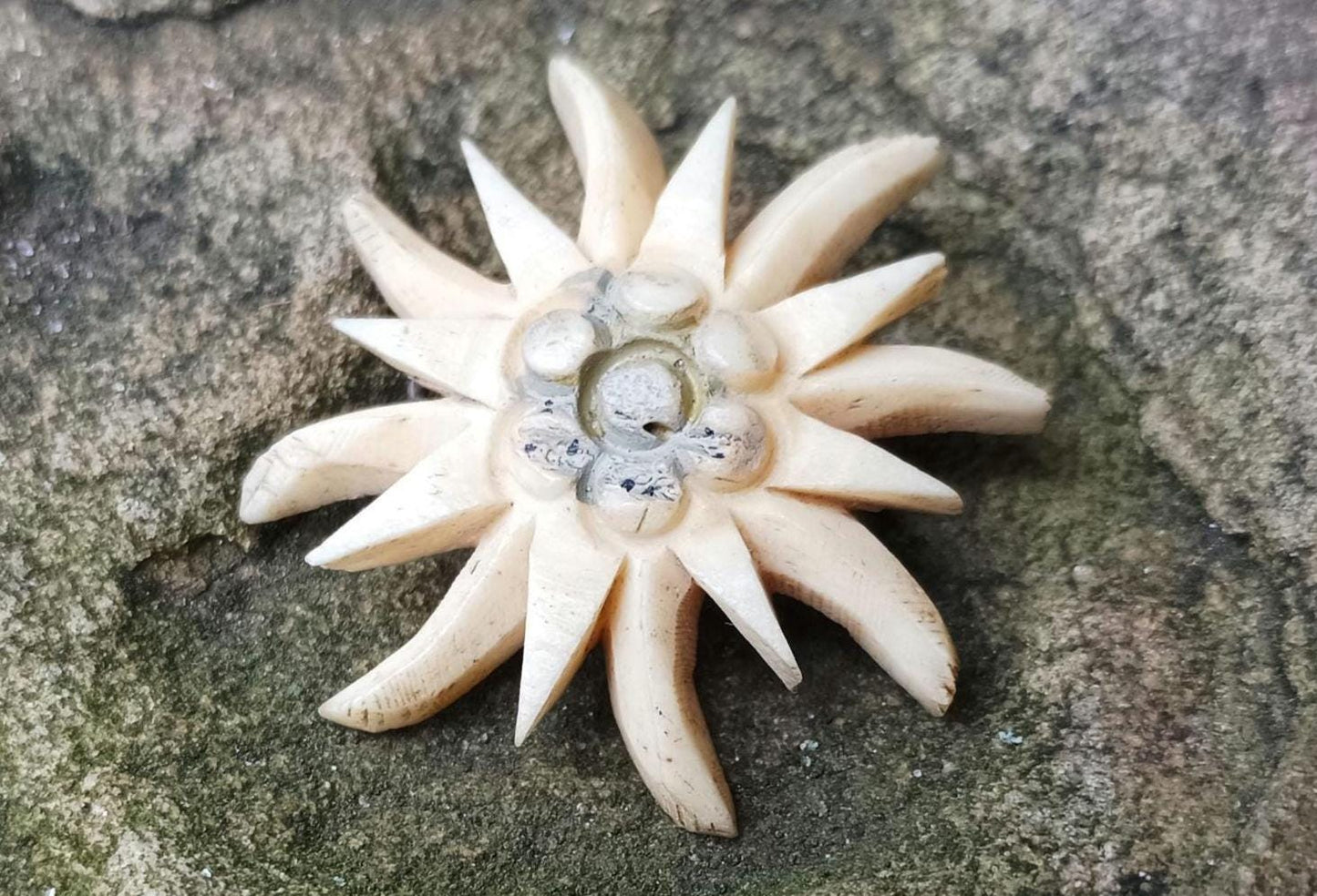 1930s Vintage Carved Bone Edelweiss Flower Brooch